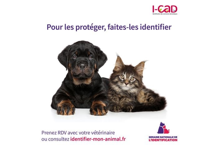 Semaine-identification2.jpg