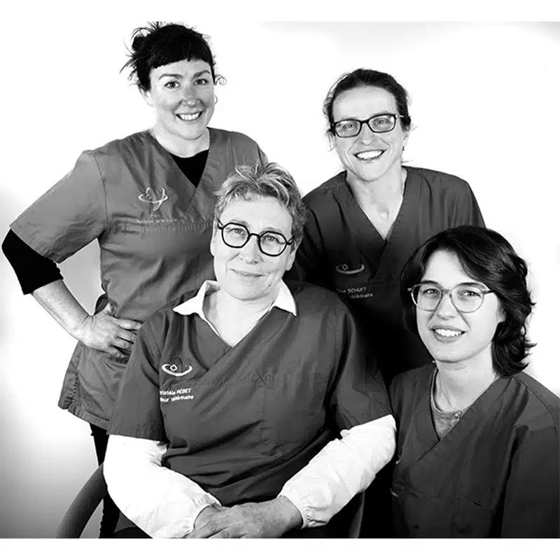 Equipe du Cabinet vétérinaire de la Vallée