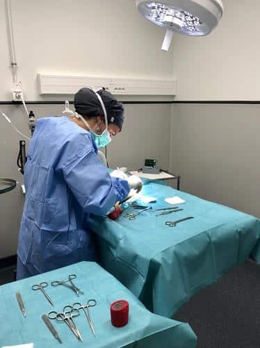 Chirurgie