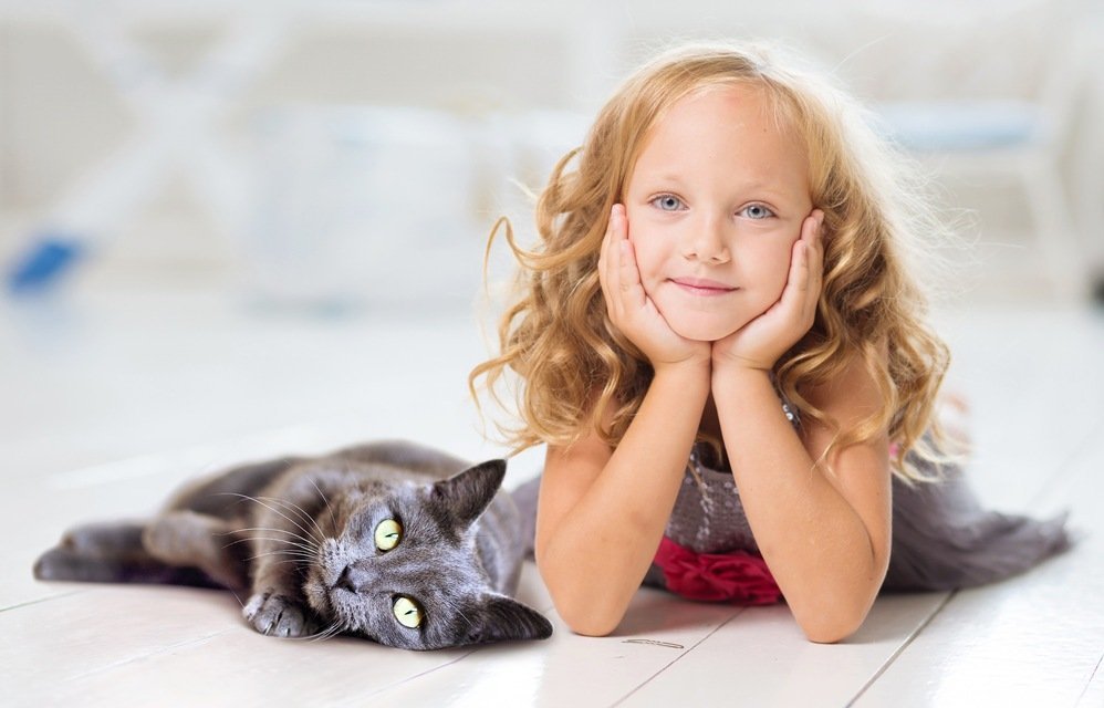 Enfant allongée avec son chat gris - Relation enfant-animal
